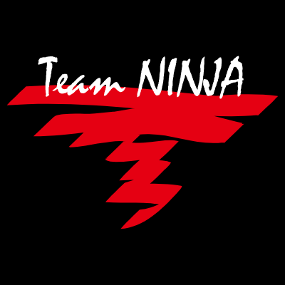 Team Ninja Art