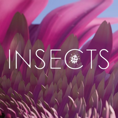 Insects: An Xbox One X Enhanced Experience Art