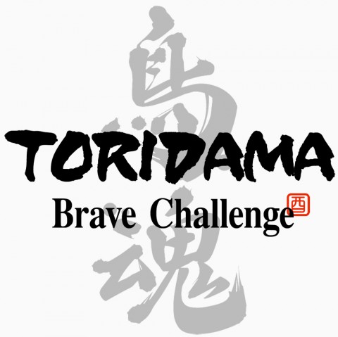 TORIDAMA: Brave Challenge Art