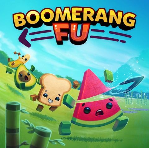 Boomerang Fu Art