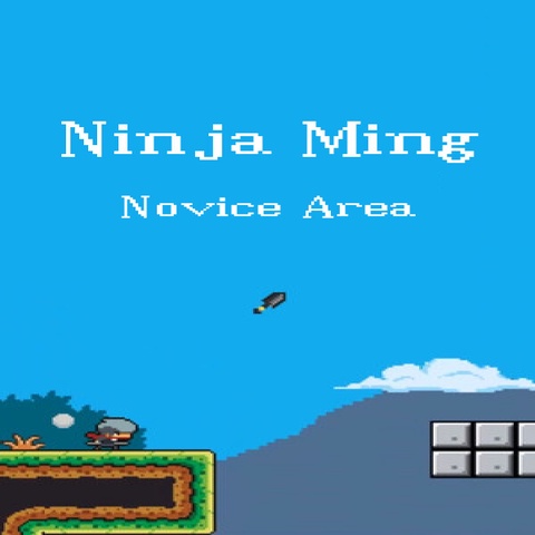 Ninja Ming Art