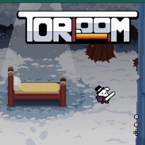 Toroom (Roguelike) Art