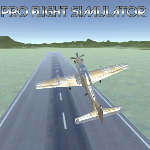Pro Flight Simulator Art