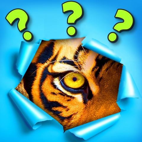 Word Spin: Word Games Art