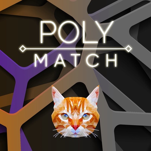 Poly Match Art