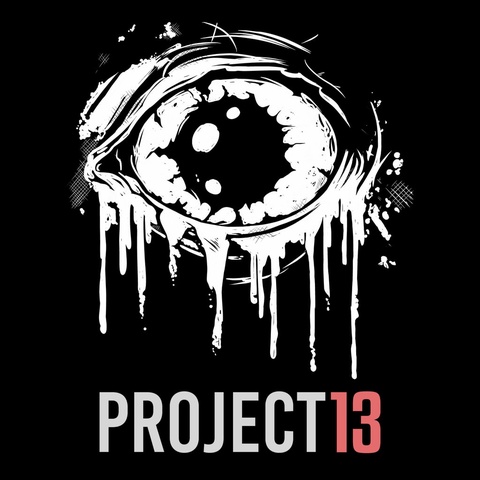 Project 13 Art