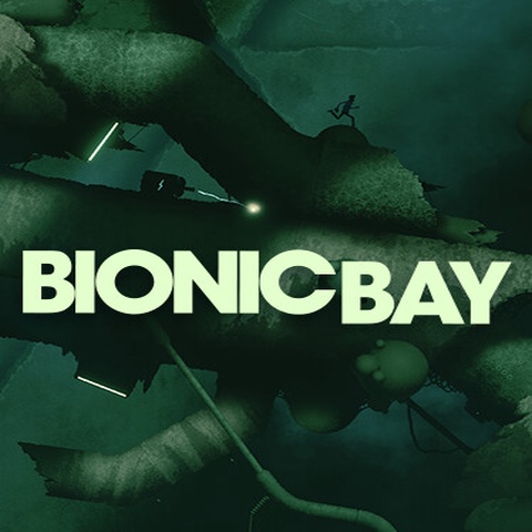 Bionic Bay Art