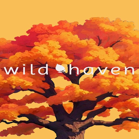 Wild Haven Art