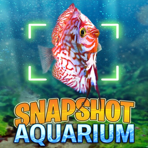 Snapshot Aquarium Art