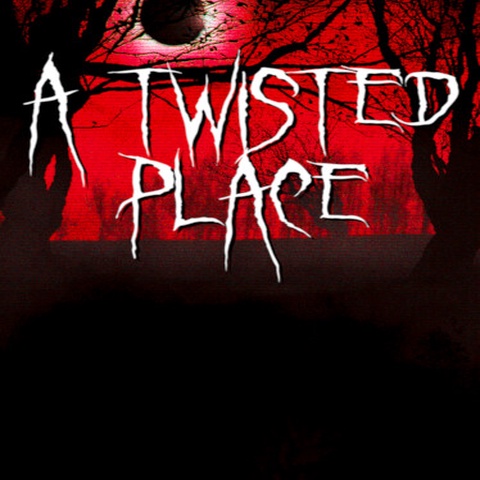 A Twisted Place Art