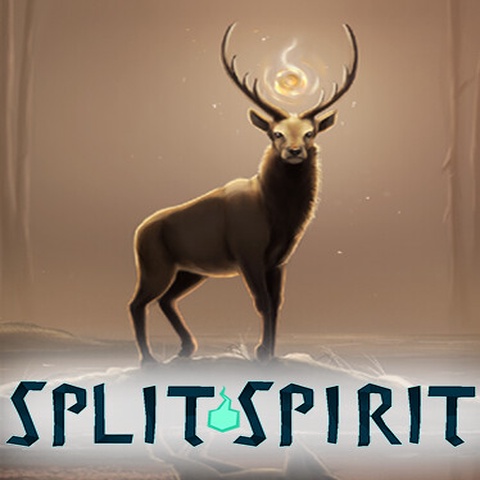 Split Spirit Art