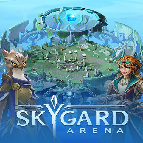 Skygard Arena Art