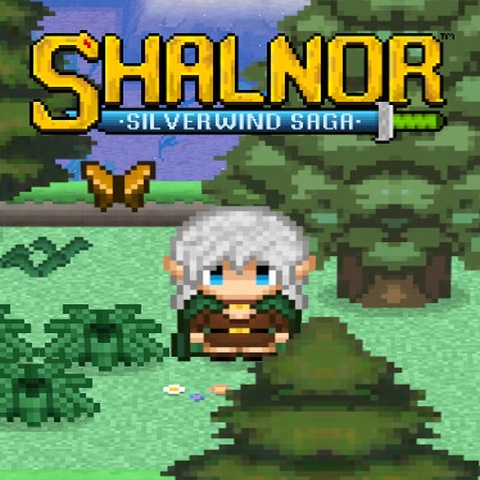 Shalnor: Silverwind Saga Art