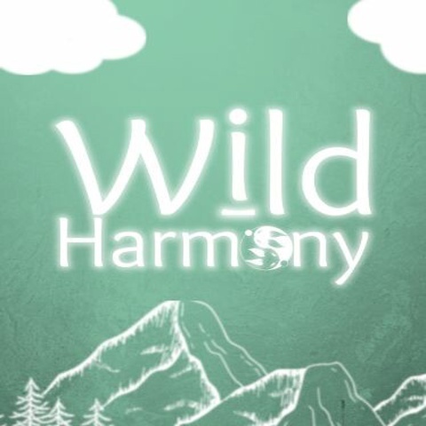 Wild Harmony Art