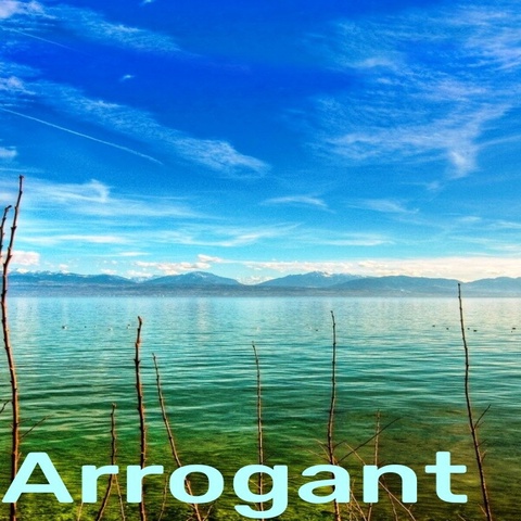 Arrogant Art