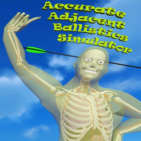 Accurate Adjacent Ballistics Simulator Art