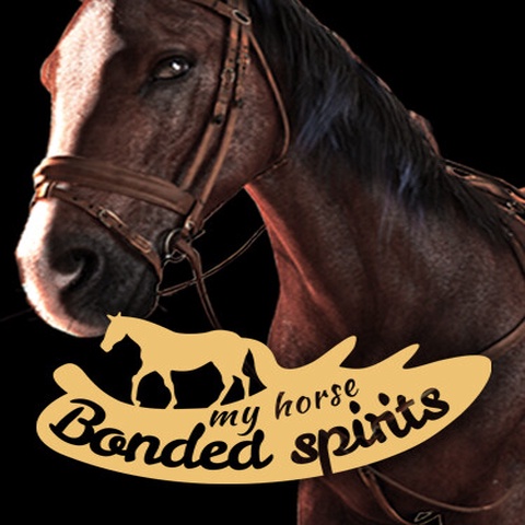 My Horse: Bonded Spirits Art