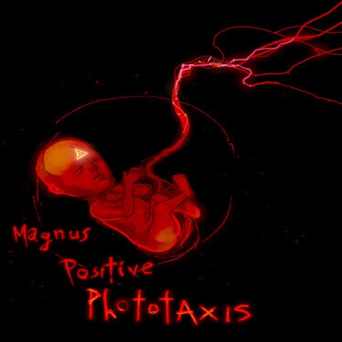 Magnus Positive Phototaxis Art