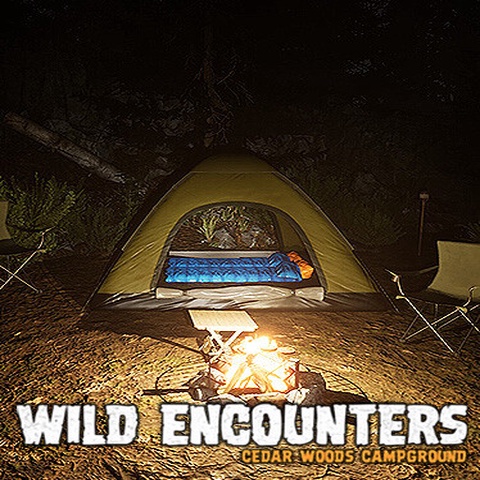 Wild Encounters - Cedar Woods Campground Art
