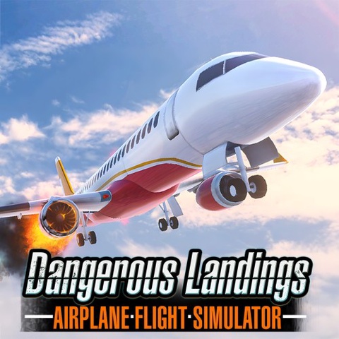 Airplane Flight Simulator : Dangerous Landings Art