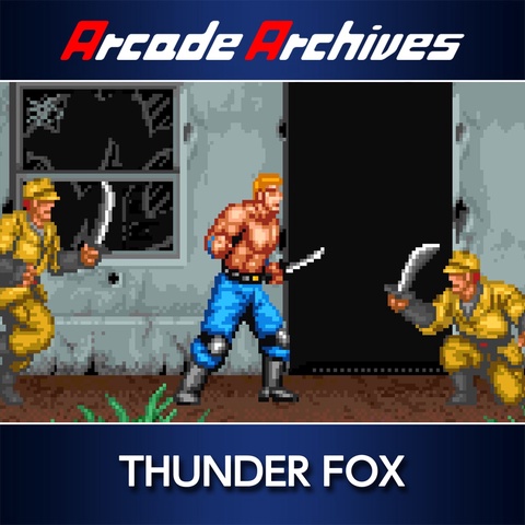 Arcade Archives THUNDER FOX Art