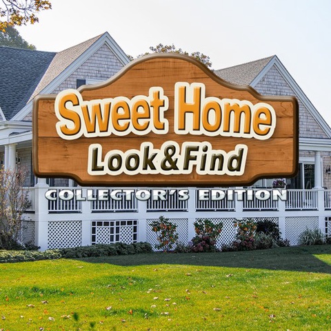 Sweet Home: Look and Find Collector's Edition Art