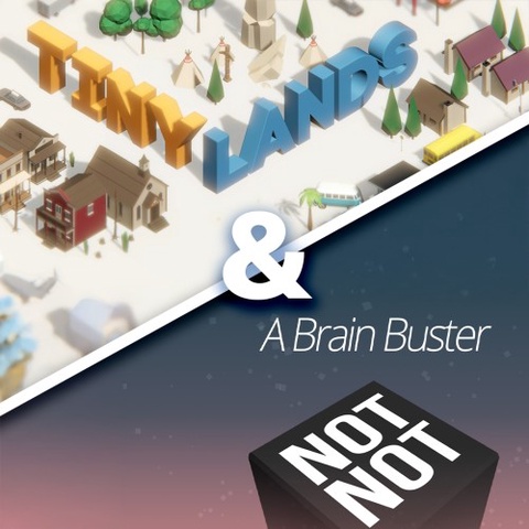 Tiny Lands & Not Not - A Brain Buster Art