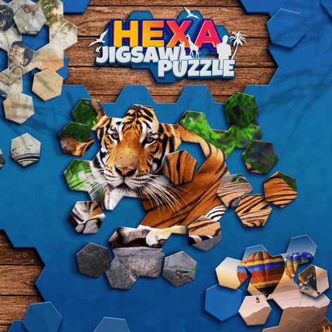 Jigsaw Hexa Puzzle Art