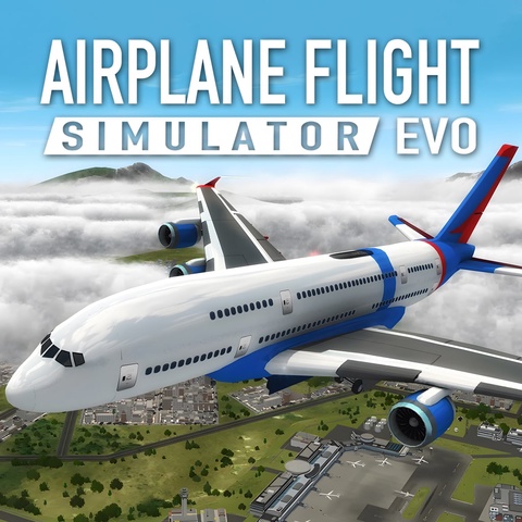 Airplane Flight Simulator : EVO Art