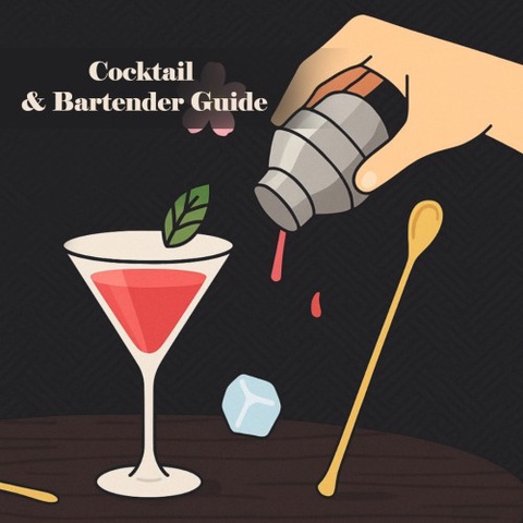 Cocktail & Bartender Guide Art