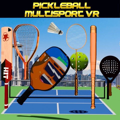 Pickleball Multisport VR Art