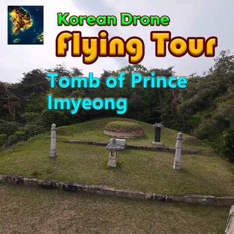 Korean Drone Flying Tour Tomb of Prince Imyeong Art