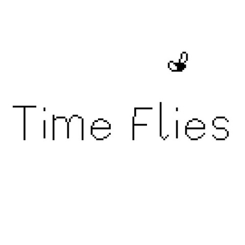 Time Flies Art
