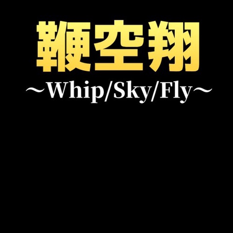 鞭空翔～Whip/Sky/Fly～ Art