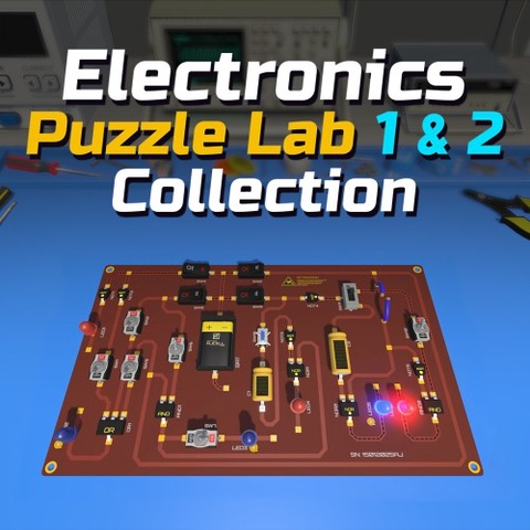 Electronics Puzzle Lab 1 & 2 Collection Art