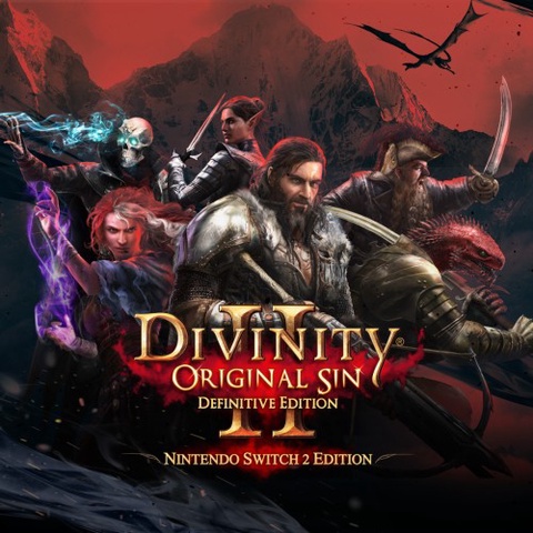 Divinity: Original Sin 2 - Nintendo Switch 2 Edition Art