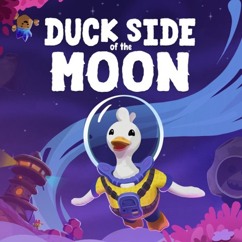 Duck Side of the Moon Art