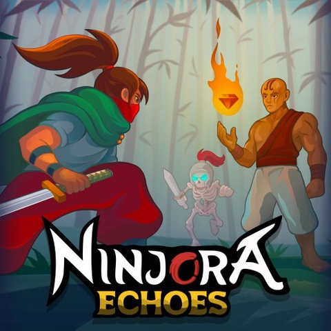 Ninjora Echoes Art