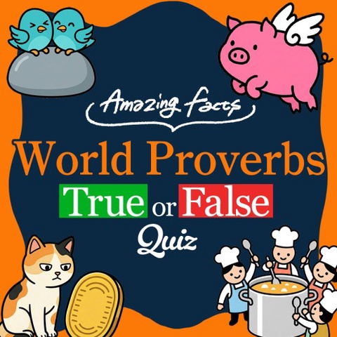 Amazing Facts : World Proverbs True or False Quiz Art