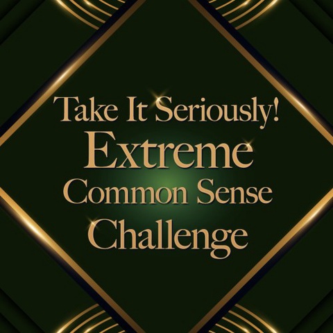 Take It Seriously! Extreme Common Sense Challenge Art