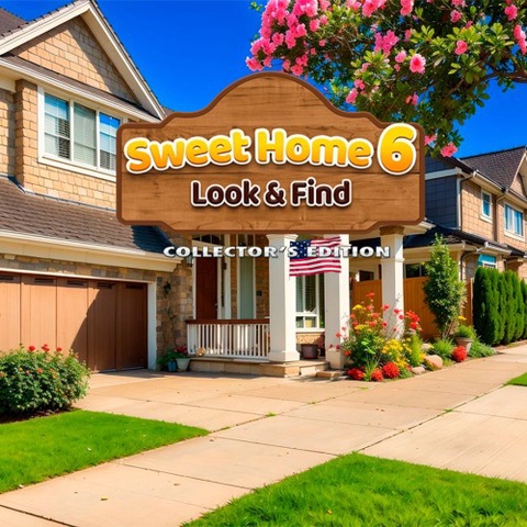 Sweet Home: Look and Find 6 Collector's Edition Art