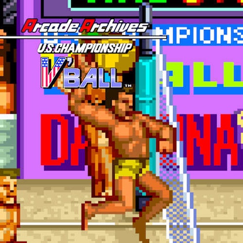 Arcade Archives V'BALL Art