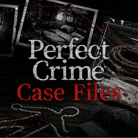 Perfect Crime Case Files Art